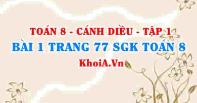 Bài 1 trang 77 SGK Toán 8 tập 1 Cánh Diều